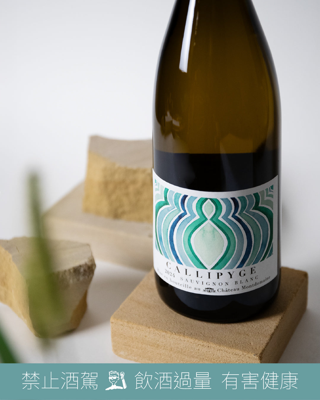 AOP Touraine Blanc Callipyge 卡莉蘇維翁白2024 – MISTER WINO